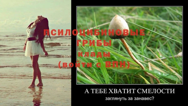 тгк Балабаново