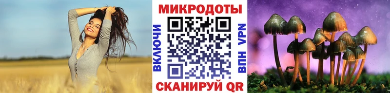 что такое   Белая Холуница  Галлюциногенные грибы Magic Shrooms 